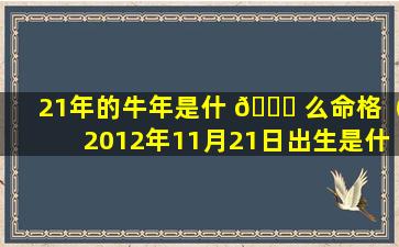 21年的牛年是什 🐋 么命格（2012年11月21日出生是什么命格）